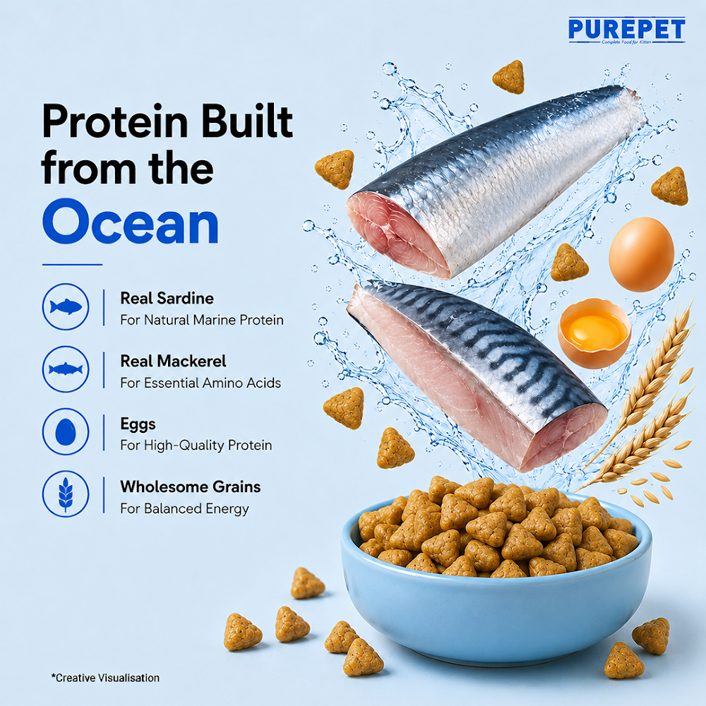 Purepet Kitten Ocean Fish 3kg