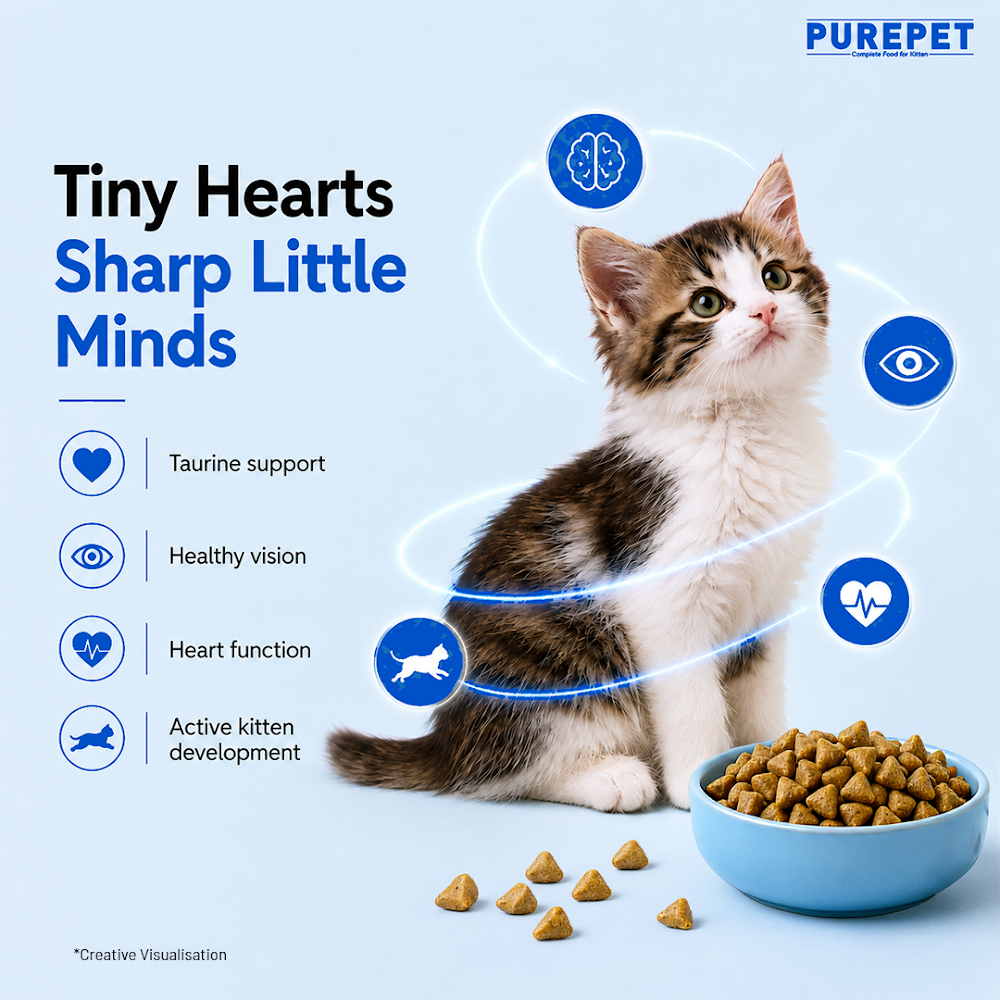 Purepet Kitten Ocean Fish 3kg