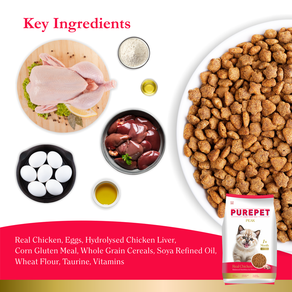 PurePet Peak Kitten Chicken Dry Food 1.2kg