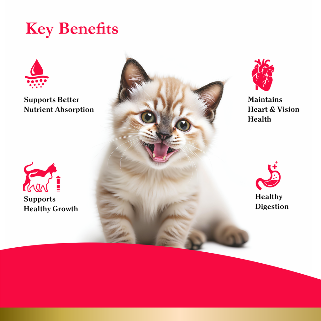 PurePet Peak Kitten Chicken Dry Food 1.2kg