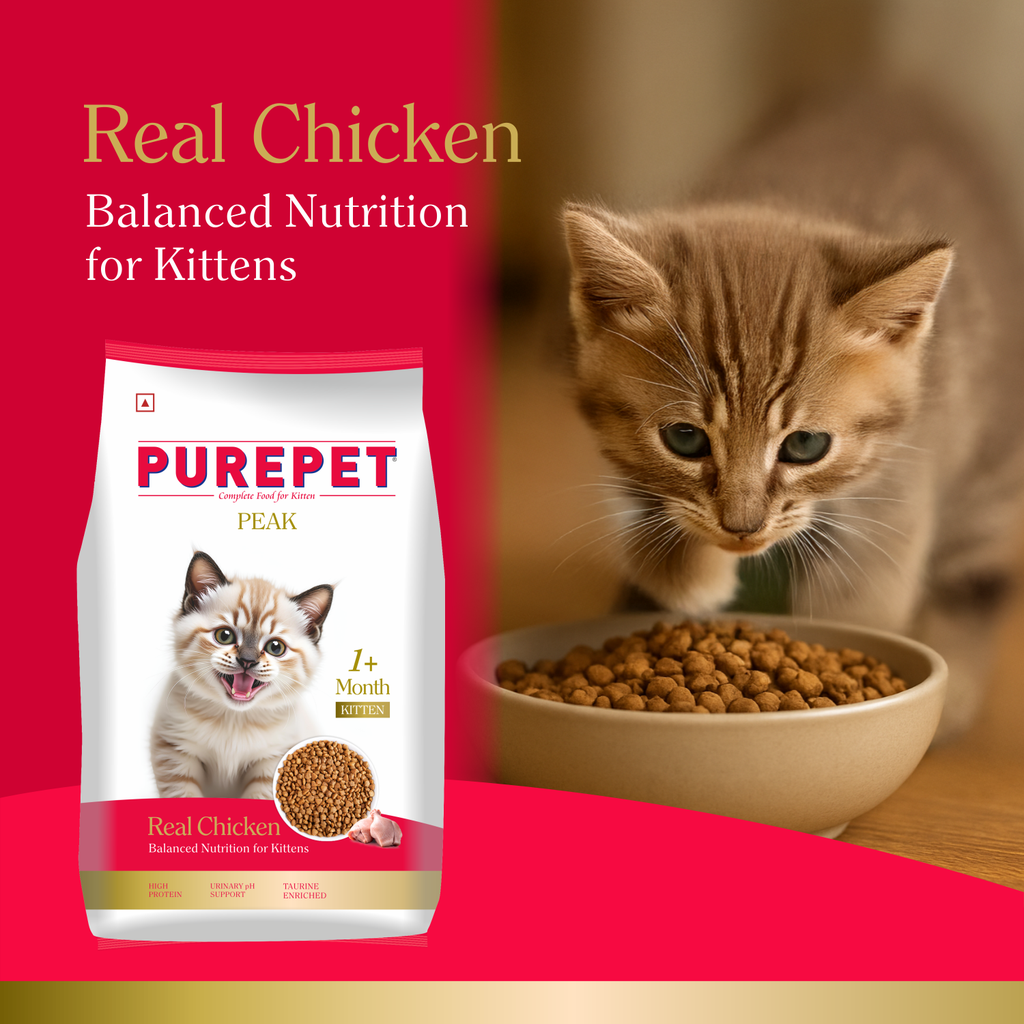 PurePet Peak Kitten Chicken Dry Food 1.2kg