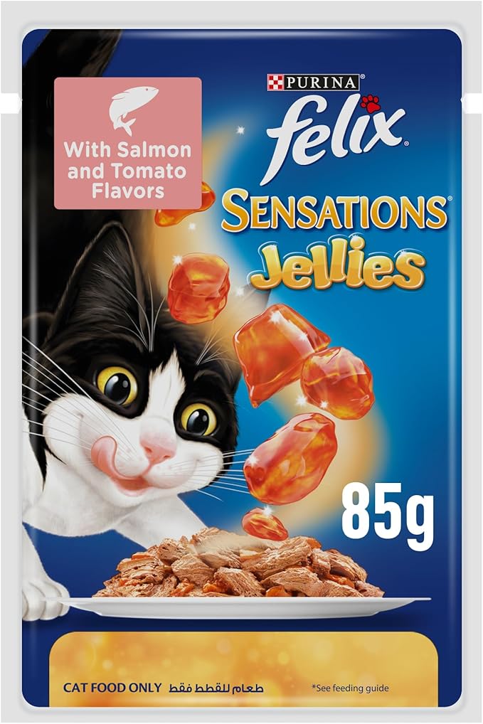 Purina Felix Sensation Cat Wet Food Salmon And Tomato Flavor 85g - Pack of 12