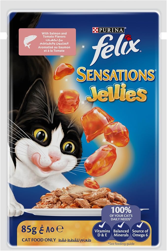 Purina Felix Sensation Cat Wet Food Salmon And Tomato Flavor 85g - Pack of 12