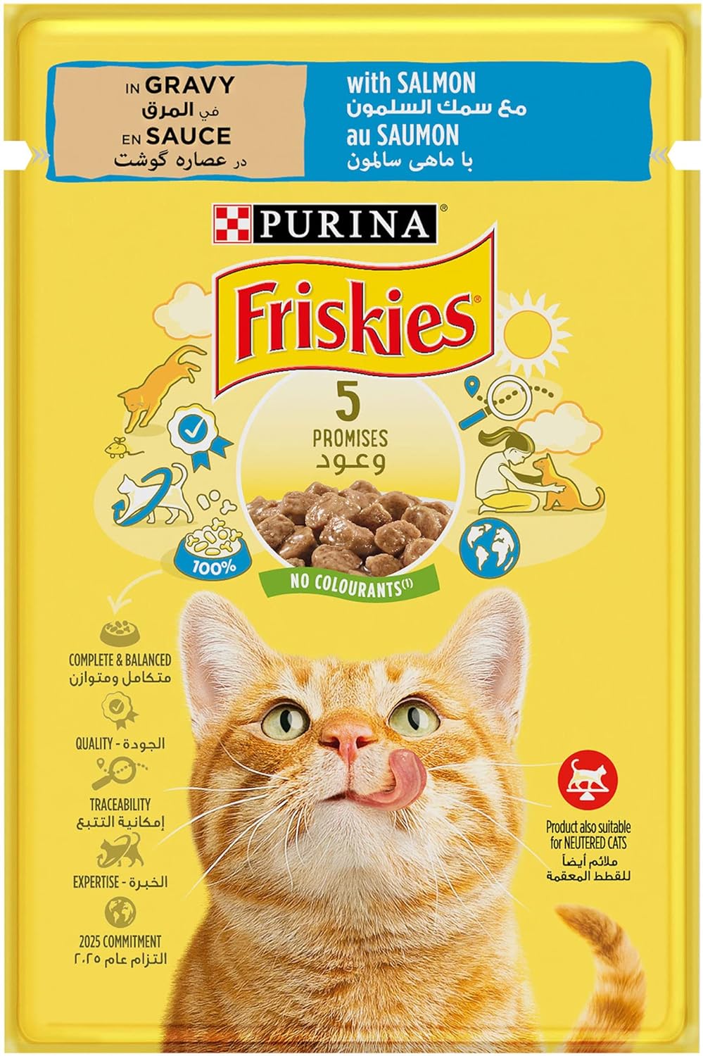 Purina Friskies Pouch With Salmon 85g - Pack of 26
