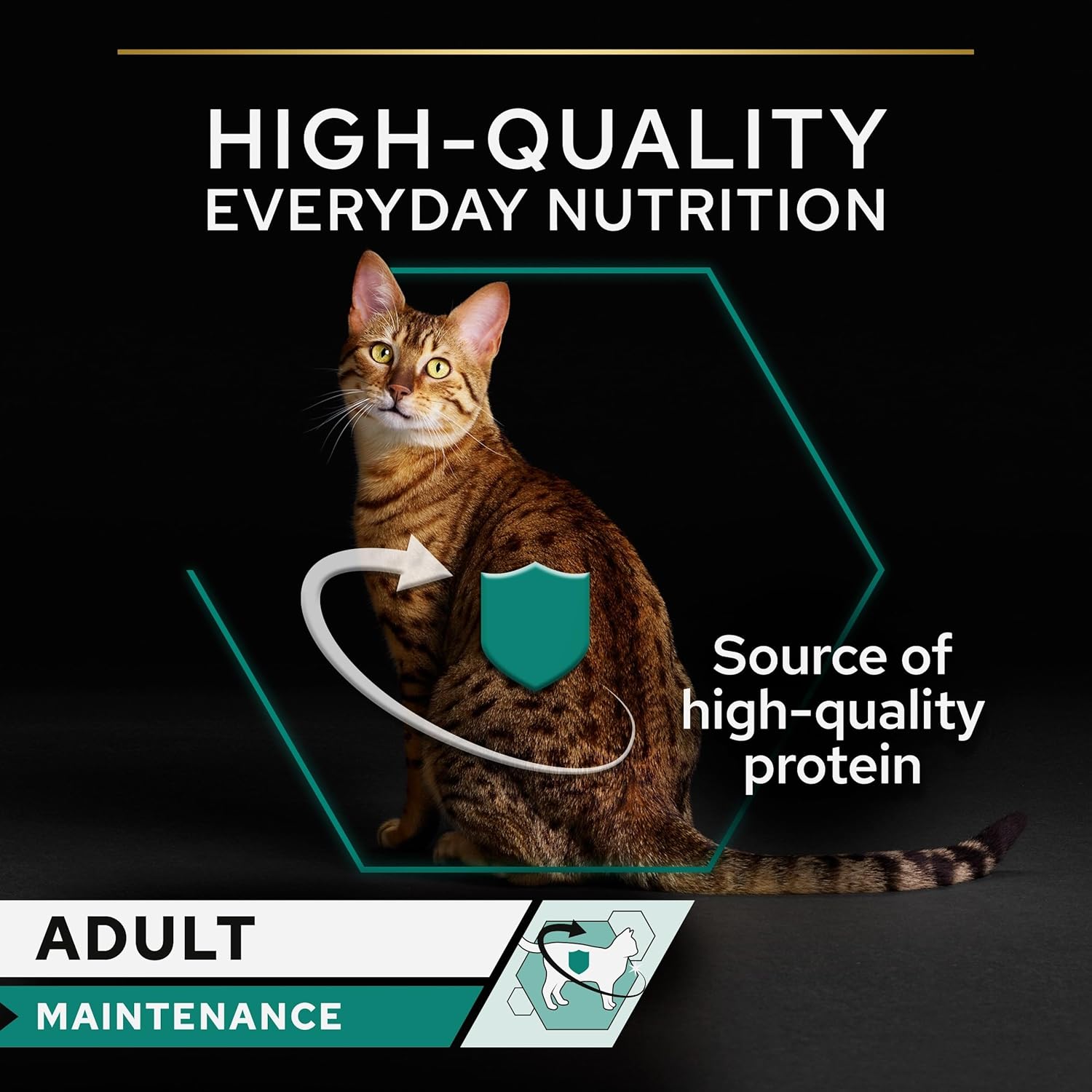 Purina Pro Plan Adult Maintenance, Wet Cat Food, Terrine rich in Chicken 85g