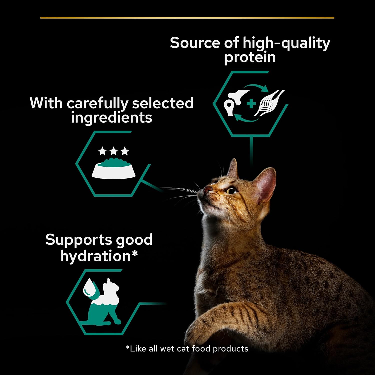 Purina Pro Plan Adult Maintenance, Wet Cat Food, Terrine rich in Chicken 85g