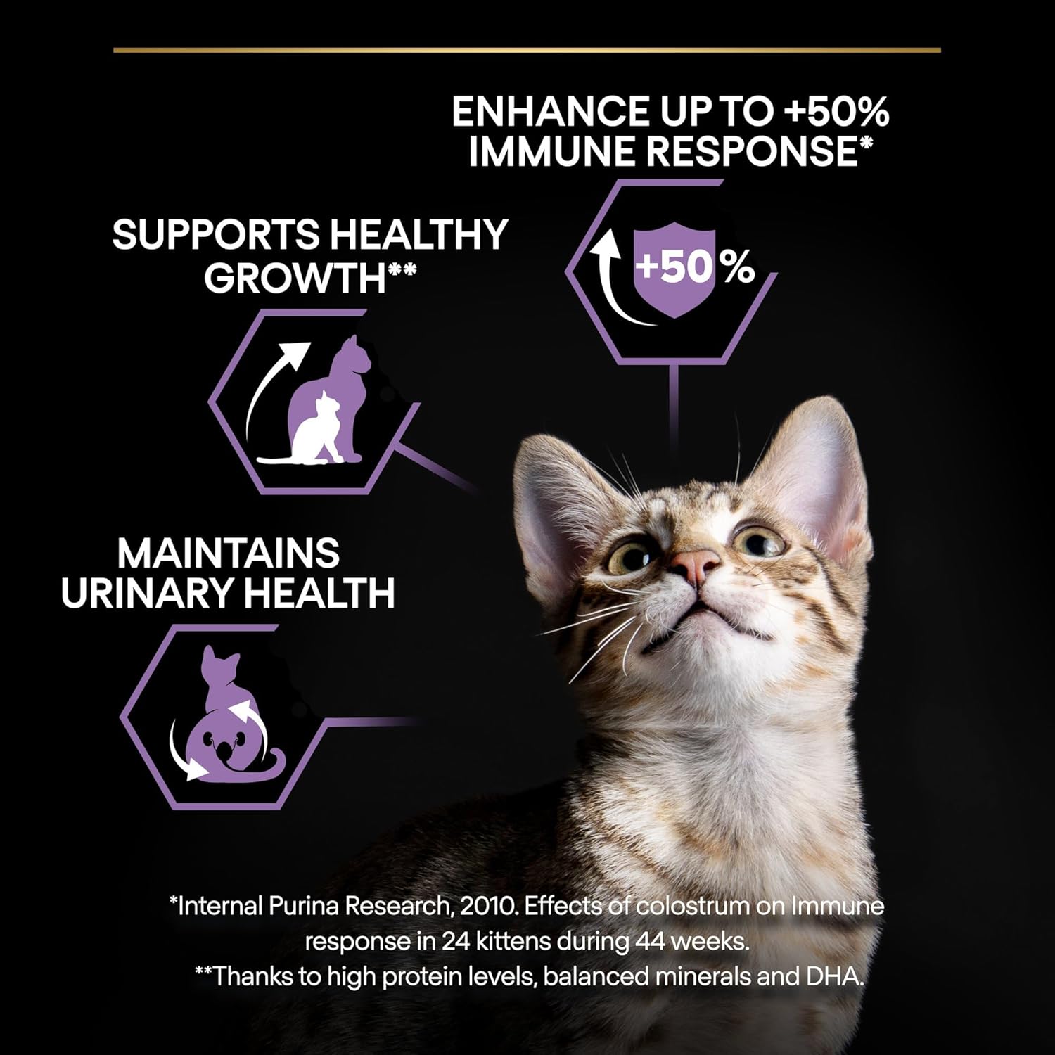 Purina Pro Plan Kitten Healthy Start Dry Cat Food with Chicken 10 kg