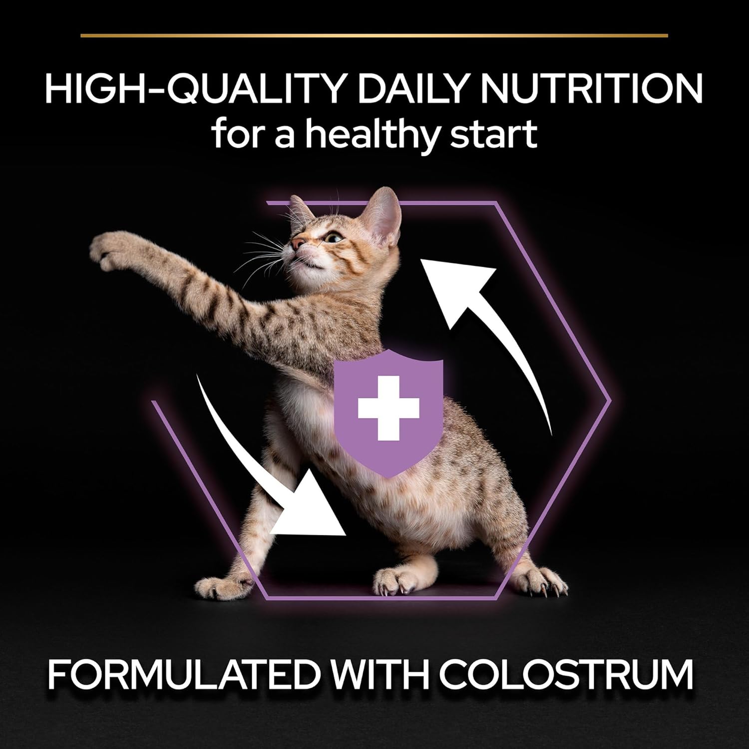 Purina Pro Plan Kitten Healthy Start Dry Cat Food with Chicken 10 kg