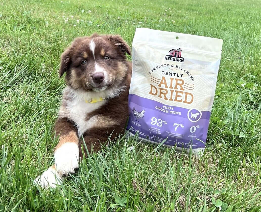 RedBarn Air Chicken Puppy Recipe 2.5oz (70G)