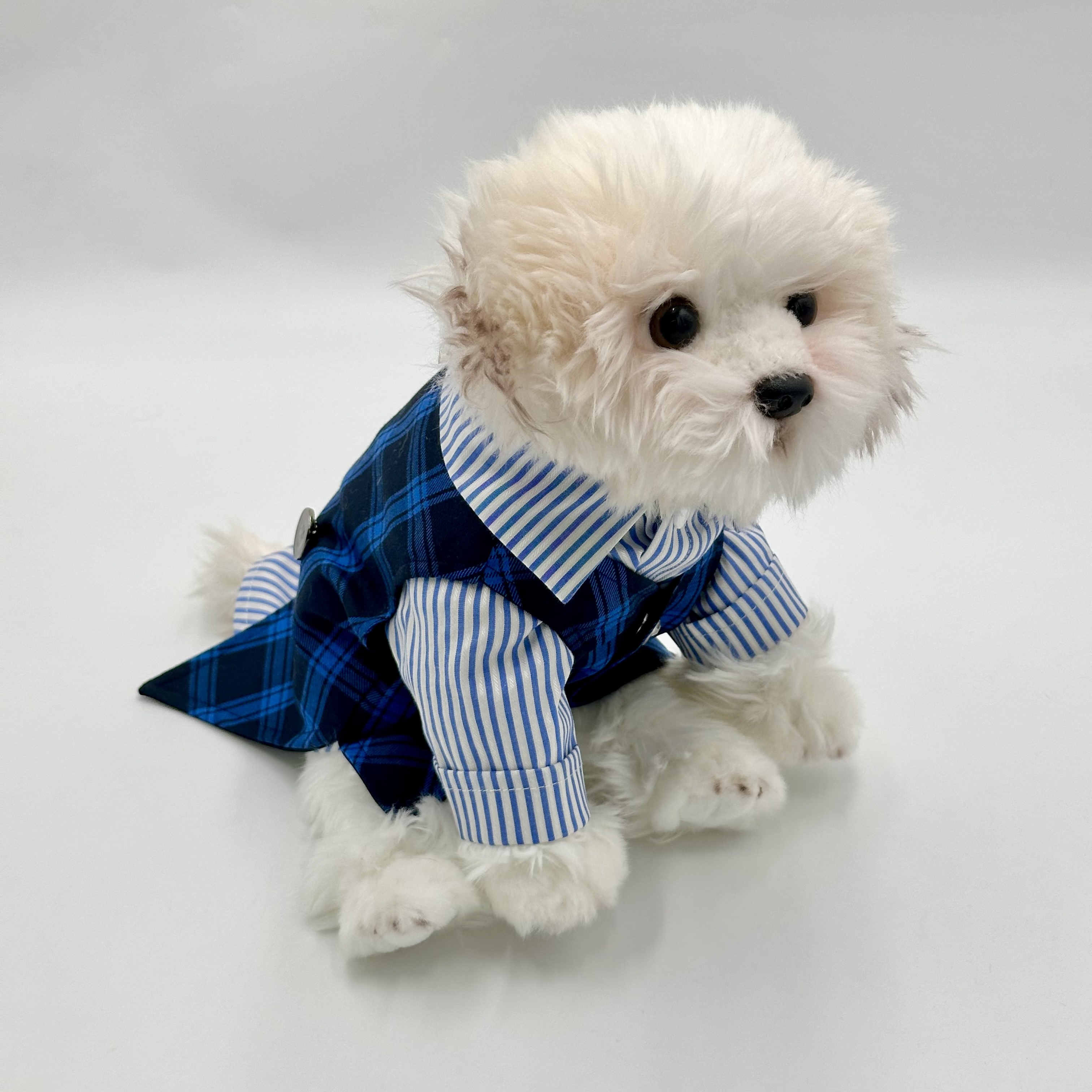 Plaid Vest & Polo Blue (Medium)