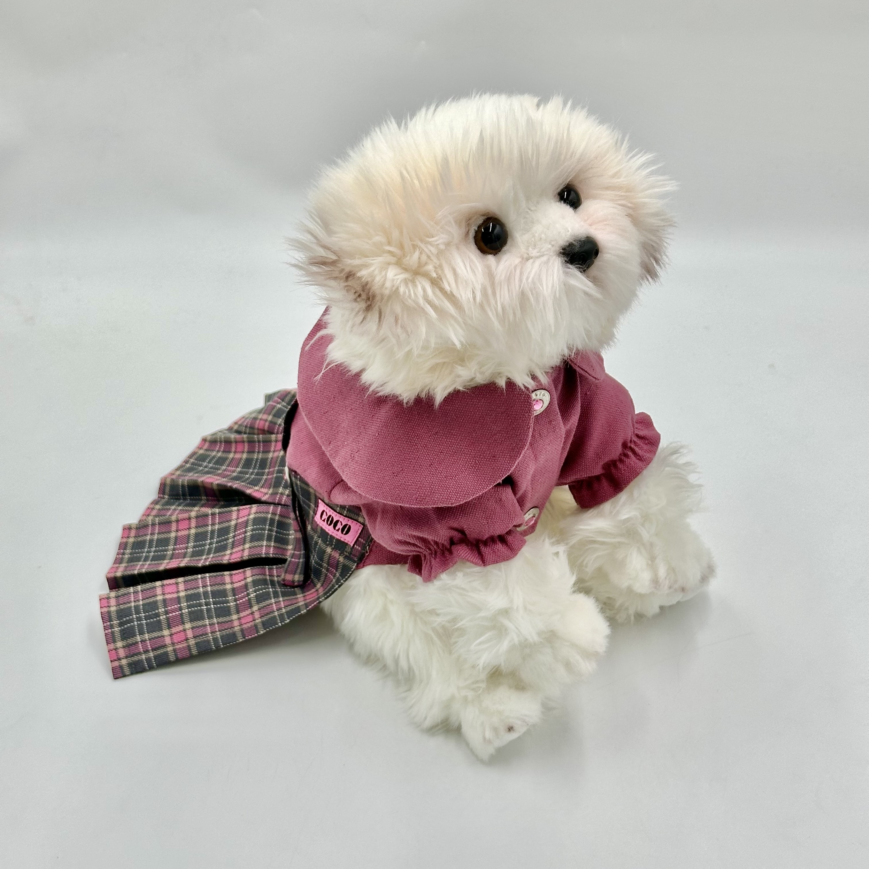 Back To School Dress (Large)