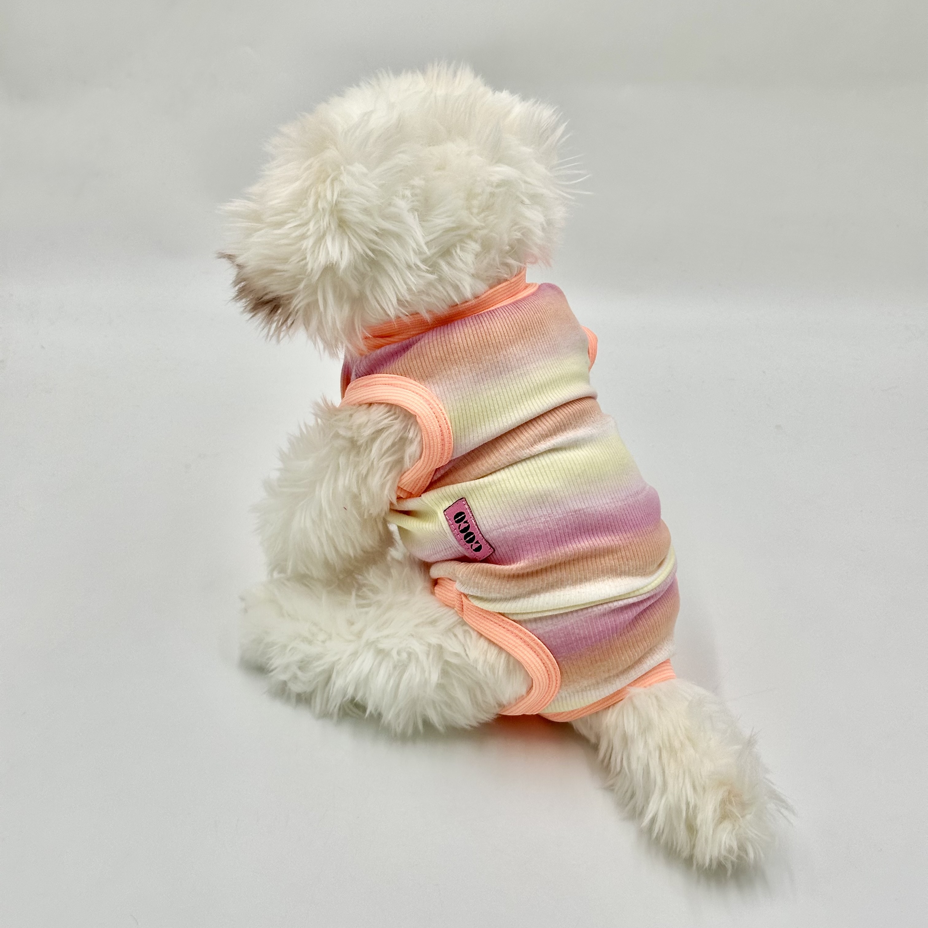 Surgery Suit Multicolor Orange (Extra Small)