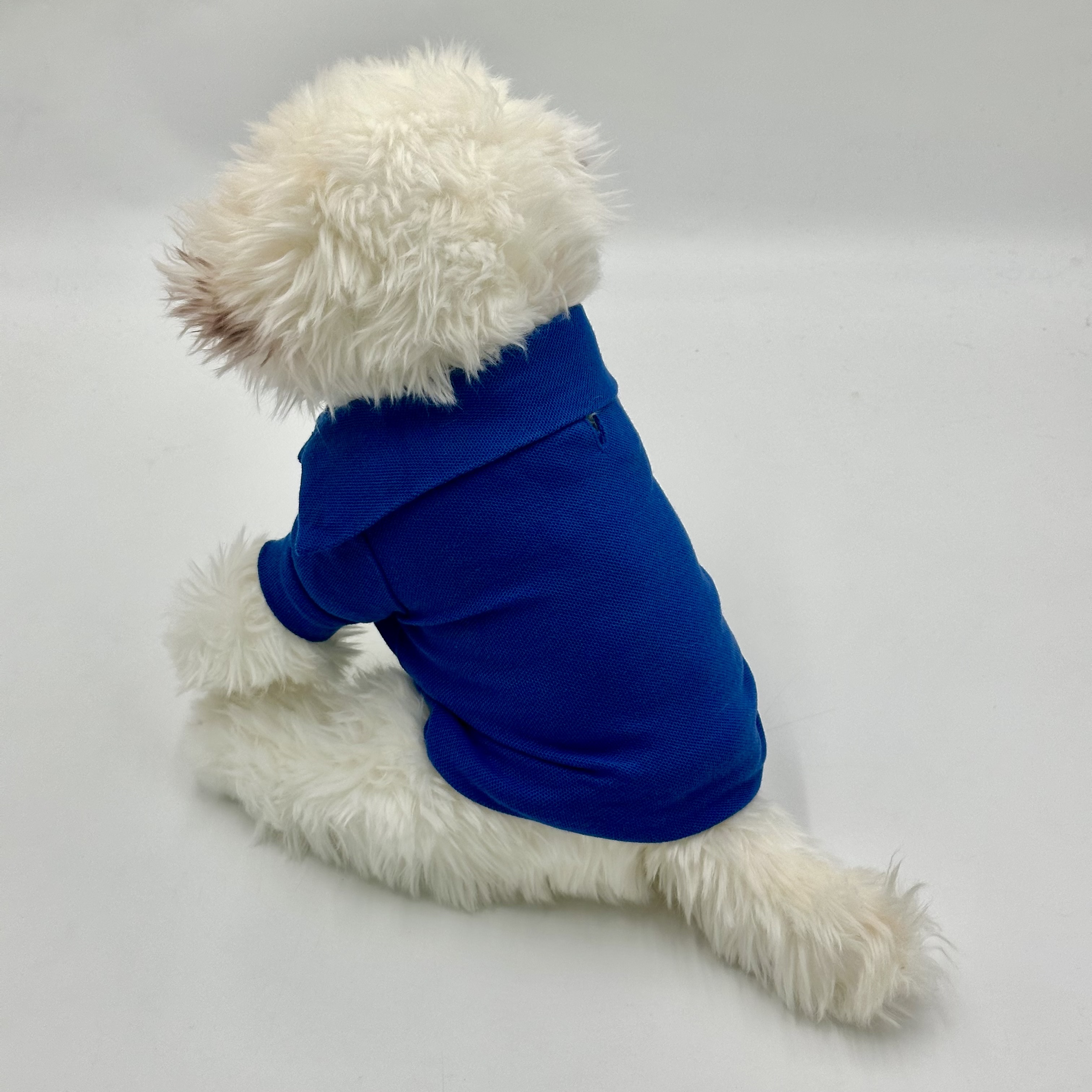 Polo Shirt Blue (Medium)