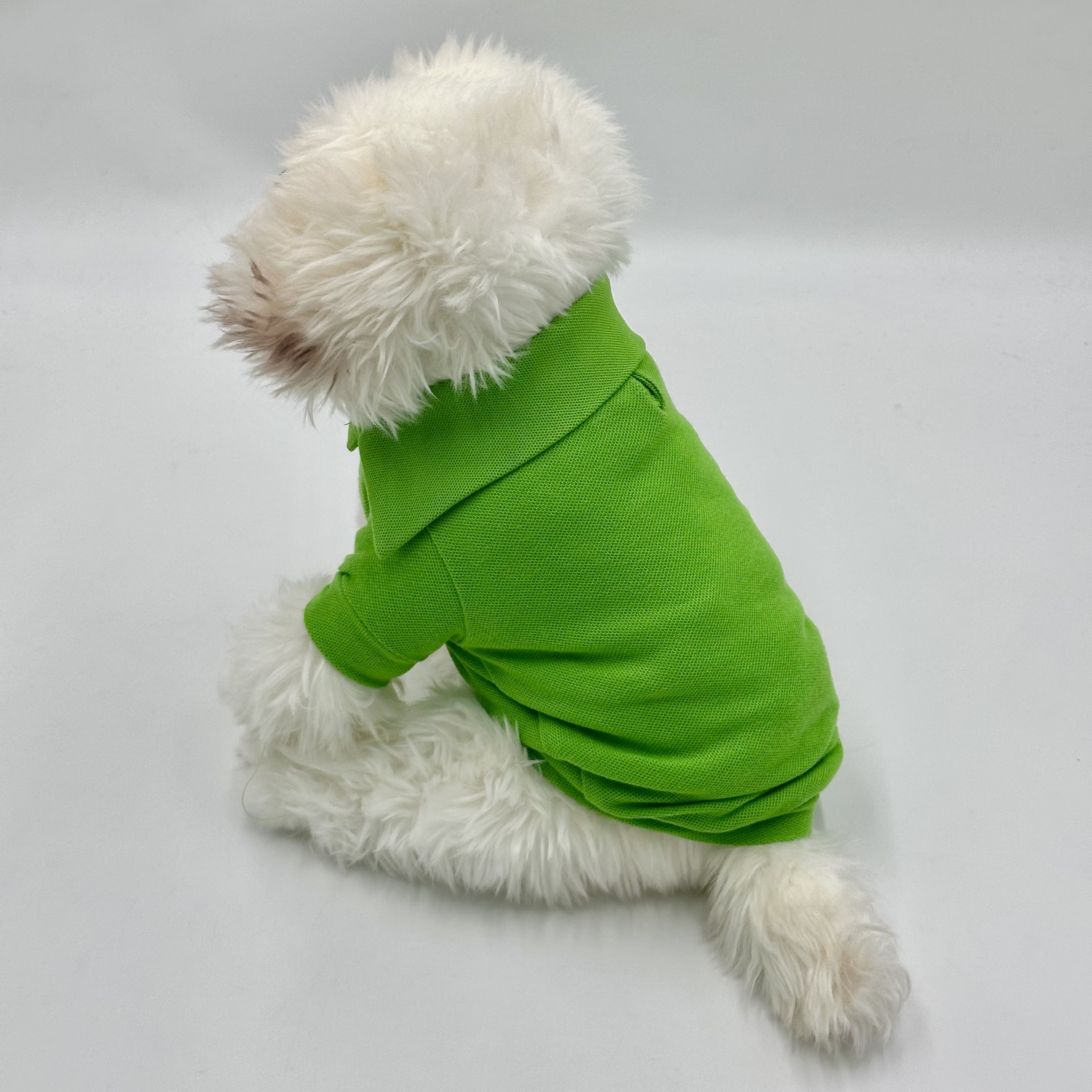 Polo Shirt Green (Medium)