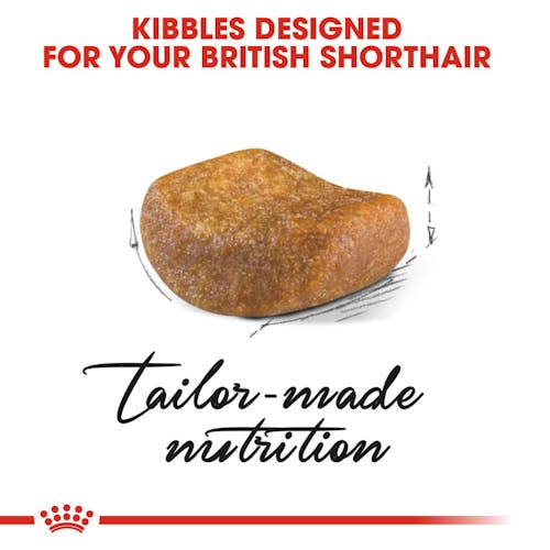Royal Canin Breed Health Nutrition Cocker Adult 3 KG