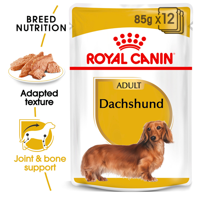 Royal Canin Breed Health Nutrition Dachshund Adult (WET FOOD - Pouches) Pack of 12