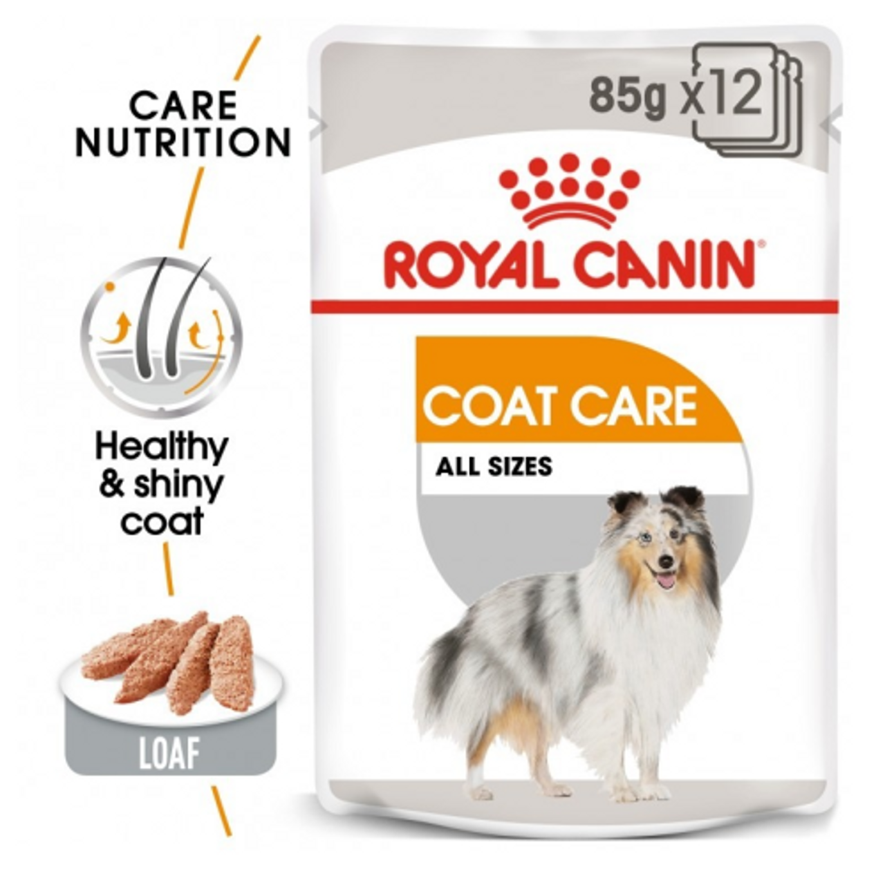 Royal Canin Canine Care Nutrition Coat Beauty (WET FOOD - Pouches) Pack of 12