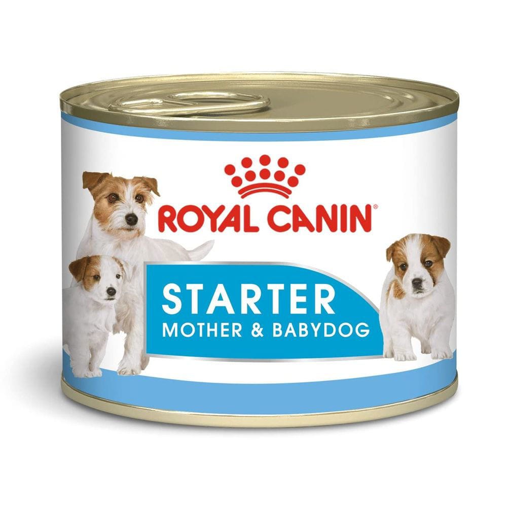 Royal Canin Canine Health Nutrition Starter Mousse (WET FOOD - Cans) Pack of 24