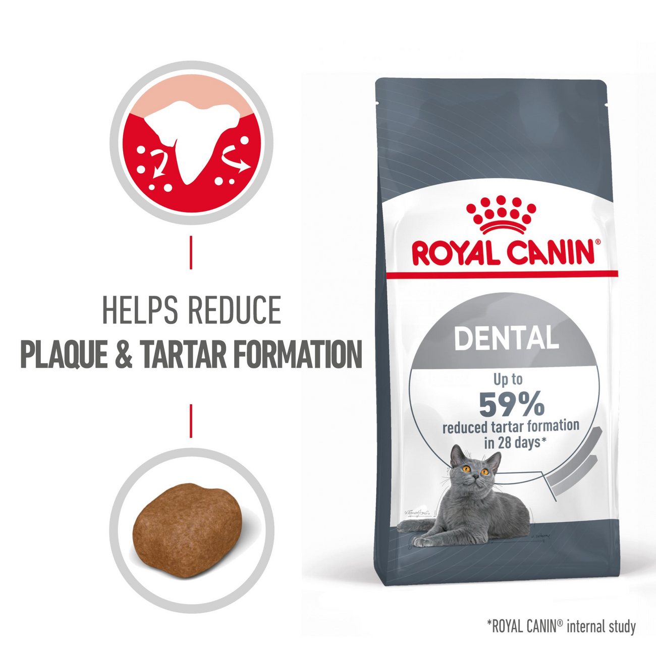 Royal Canin Feline Care Nutrition Dental Care Dry Cat Food 400g