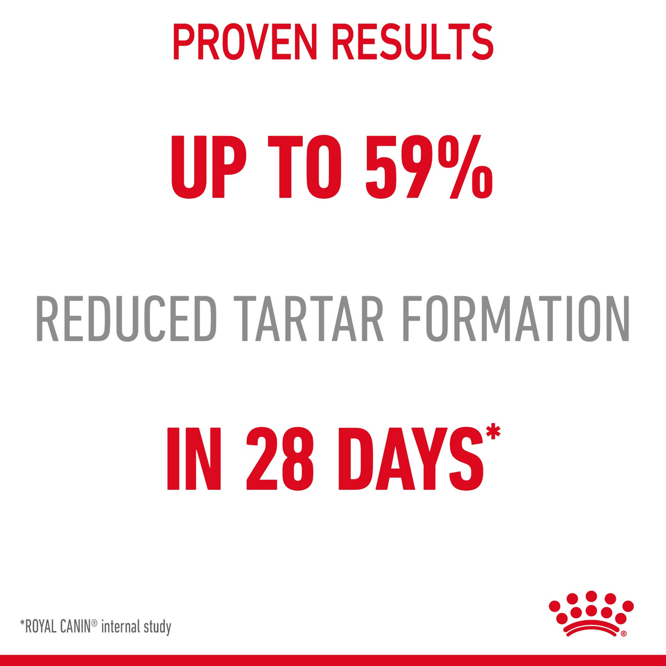 Royal Canin Feline Care Nutrition Dental Care Dry Cat Food 400g