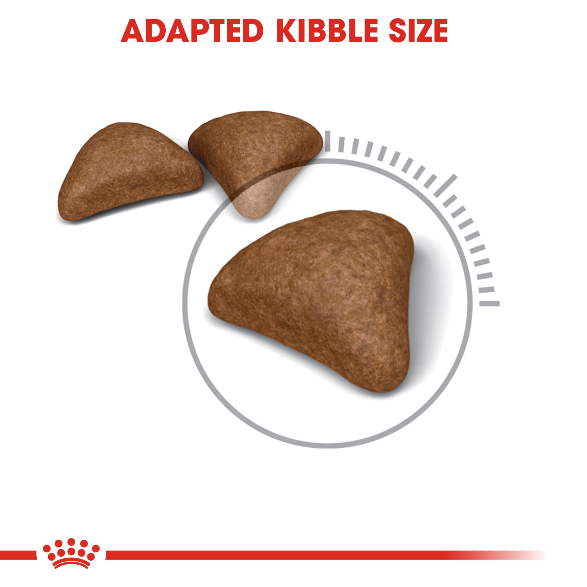 Royal Canin Feline Care Nutrition Hairball Care 10 Kg
