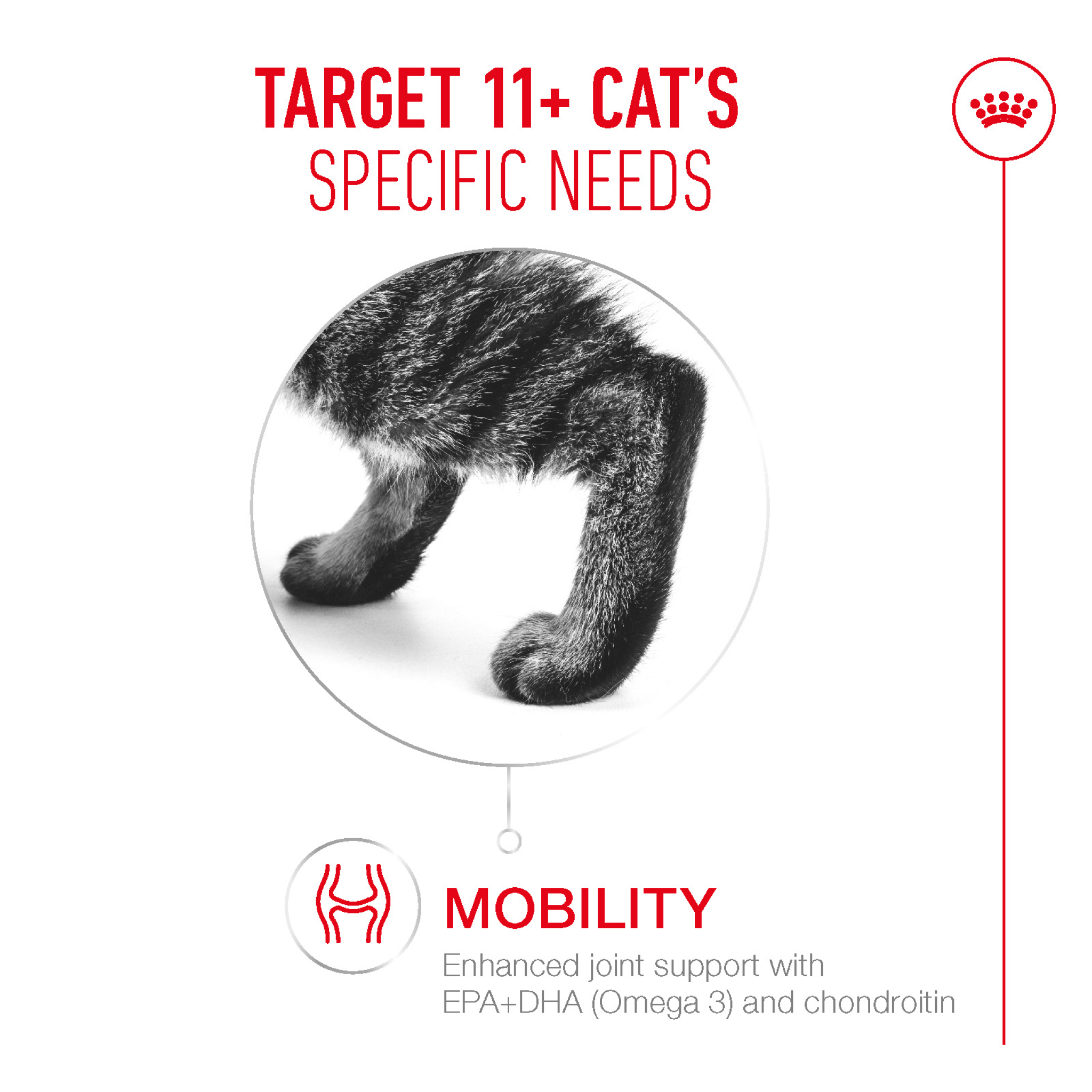 Royal Canin Feline Health Nutrition Ageing 11+ Jelly (Wet Food - Pouches) 12 x 85g