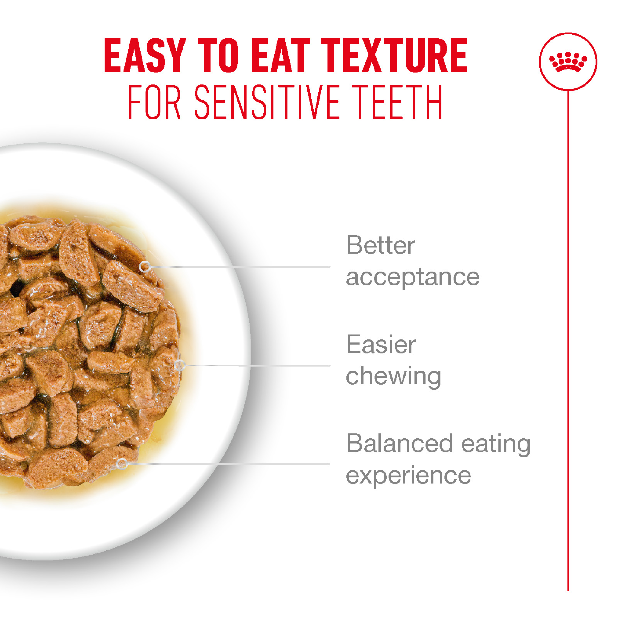 Royal Canin Feline Health Nutrition Ageing 11+ Jelly (Wet Food - Pouches) 12 x 85g