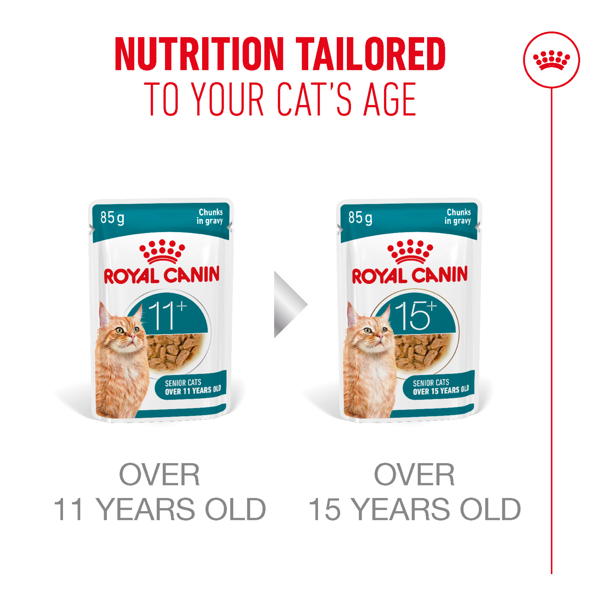 Royal Canin Feline Health Nutrition Ageing 11+ Jelly (Wet Food - Pouches) 12 x 85g