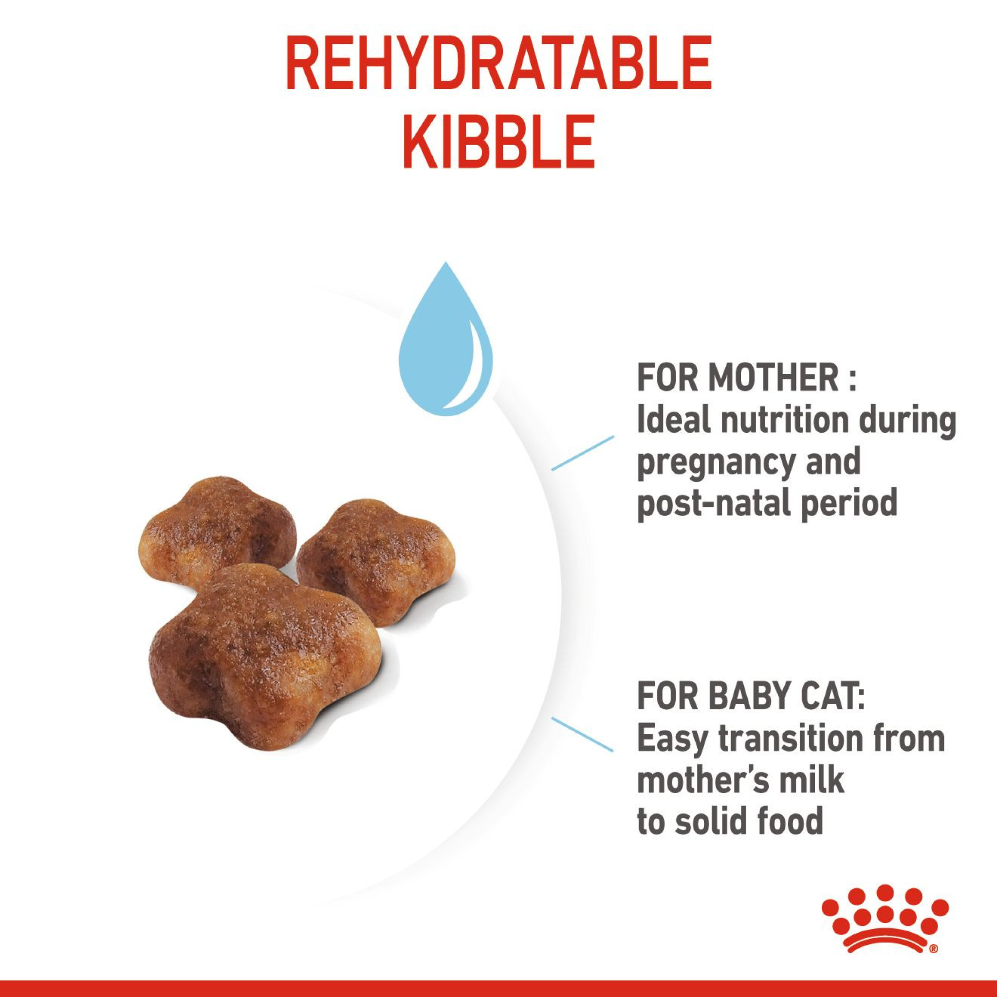 Royal Canin Feline Health Nutrition Mother & Babycat 10 Kg