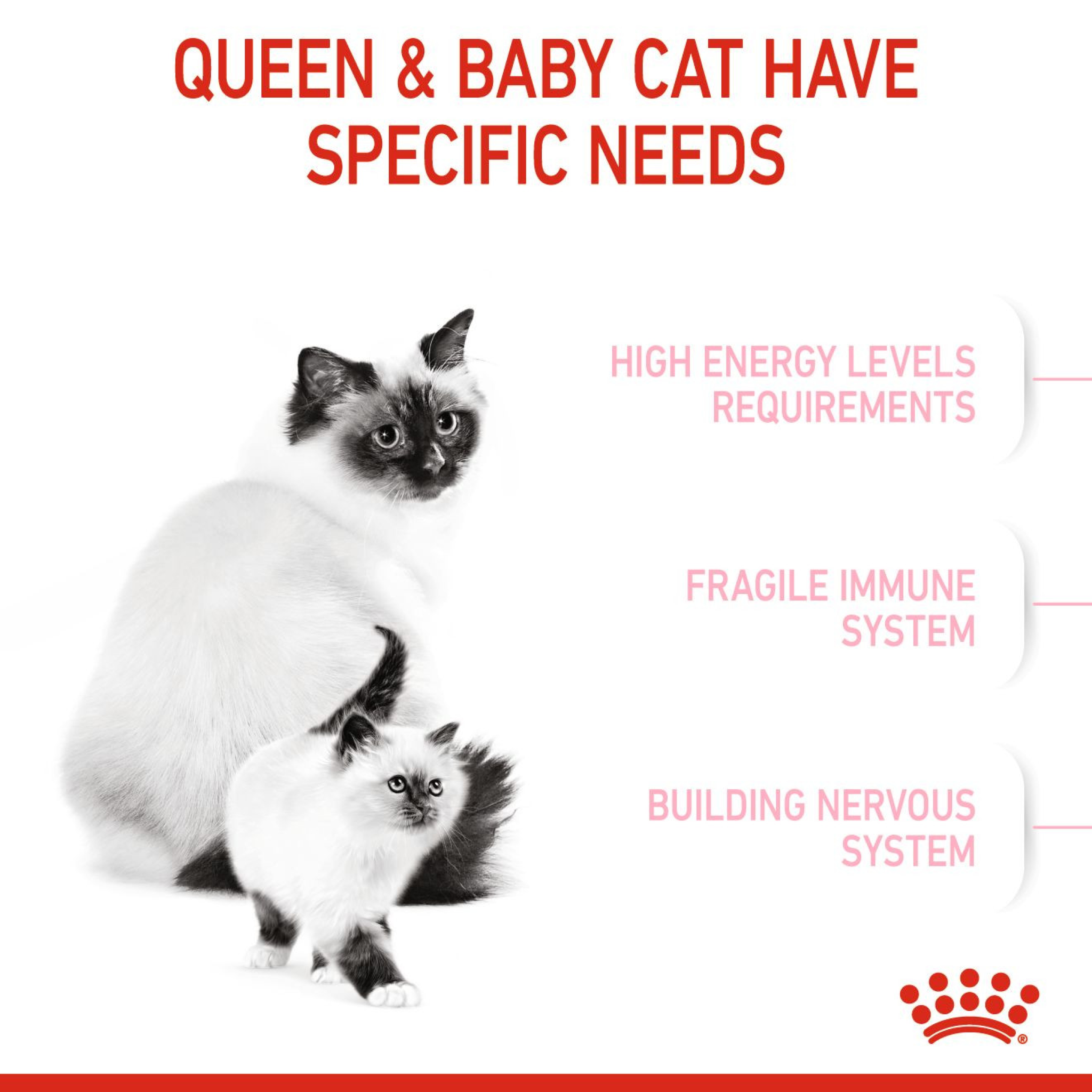 Royal Canin Feline Health Nutrition Mother & Babycat 10 Kg