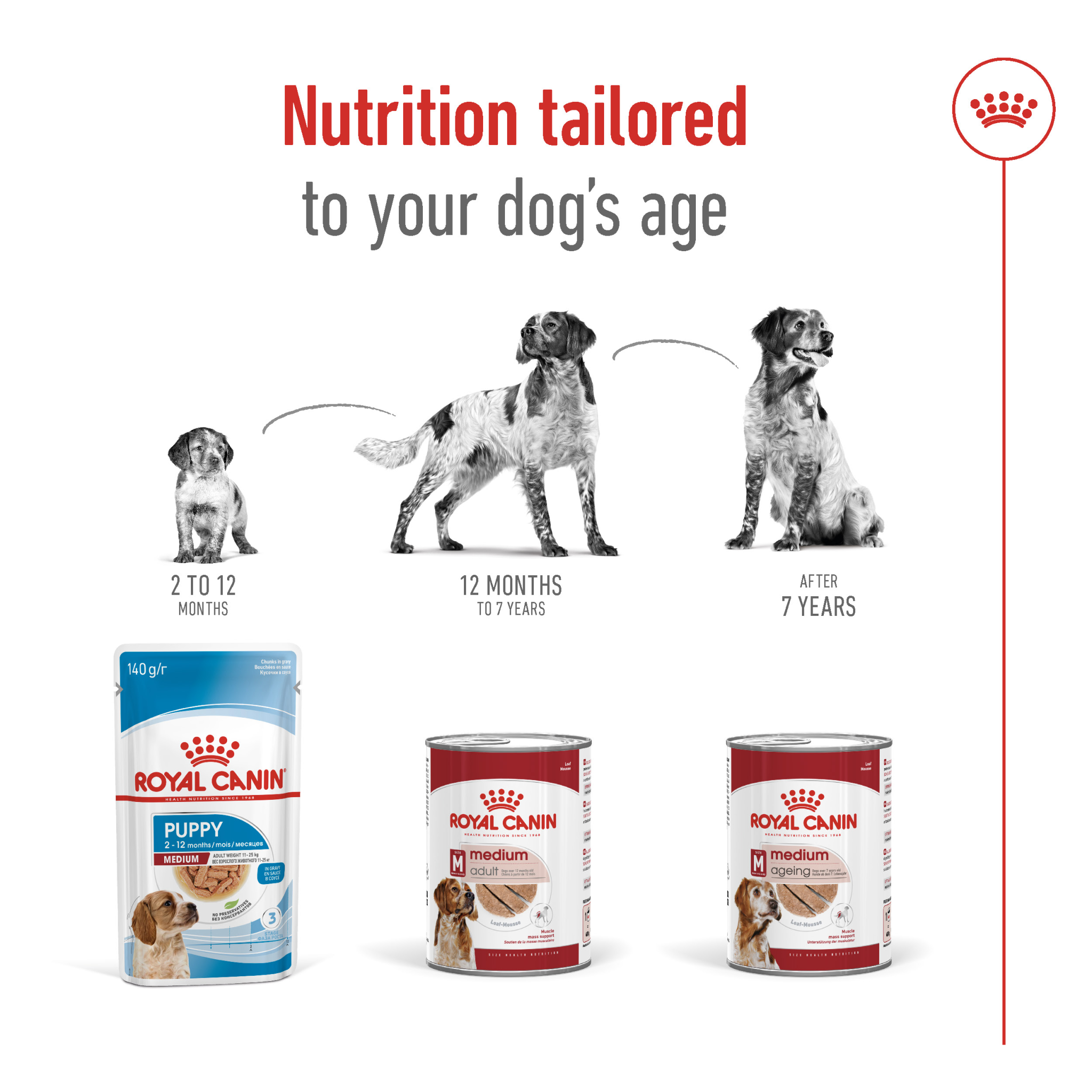 Royal Canin Size Health Nutrition Medium Adult (Wet Food - Can) 12 X 410 G