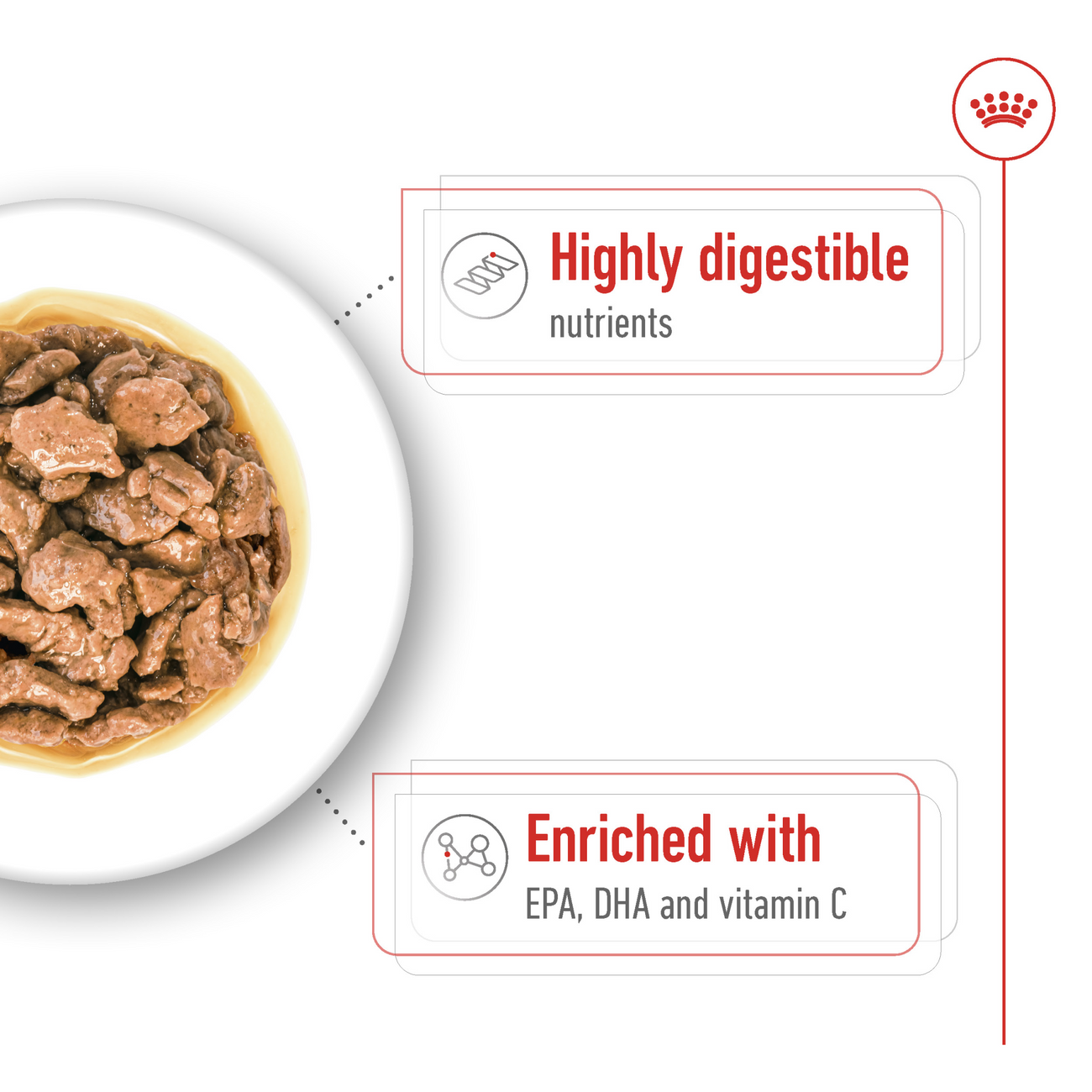 Royal Canin Size Health Nutrition XS Adult Wet Dog Food 12x85g