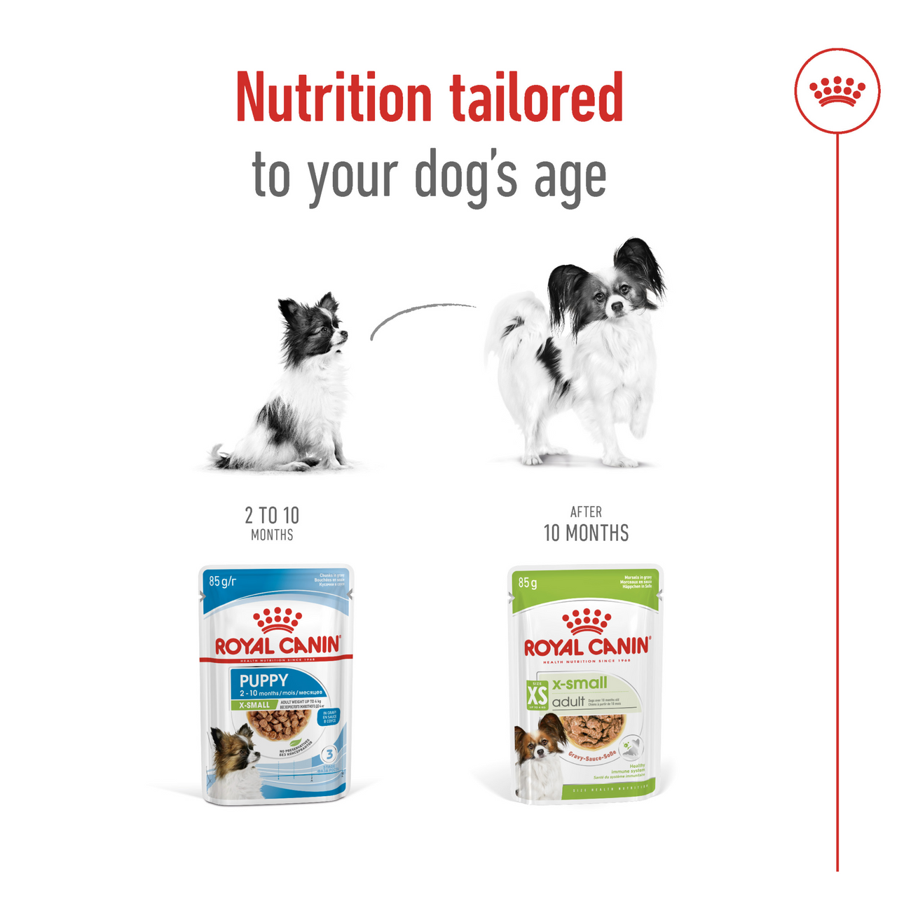 Royal Canin Size Health Nutrition XS Adult Wet Dog Food 12x85g