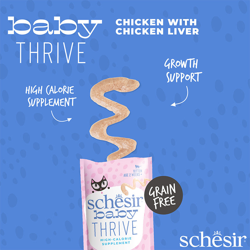 Schesir Baby Thrive Mousse Kitten - Chicken - 20x8g