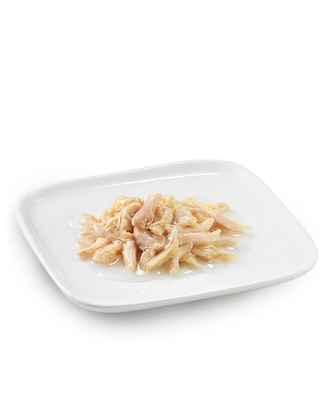 Schesir Dog Wet Food Can-Chicken Natural Style-[Weight - 85g]