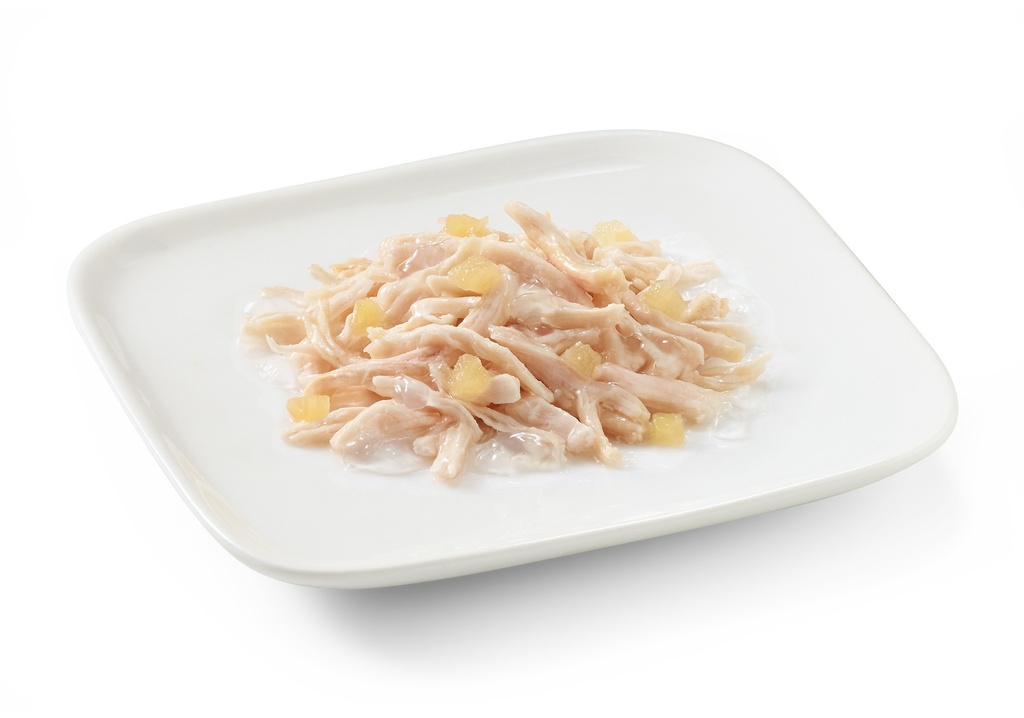 Schesir Dog Wet Food-Chicken Fillets With Apple[Weight - 150g]