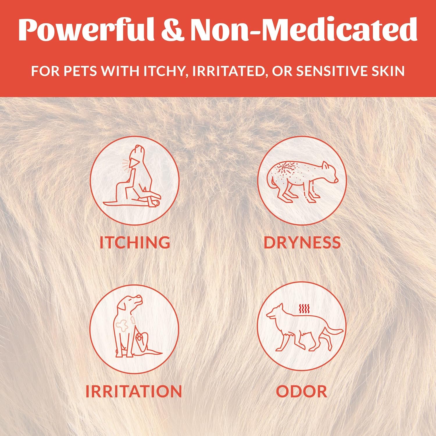 Skouts Honor Probiotic Itch Relief Shampoo 475ML/16Oz Pet Essentials & Wellness