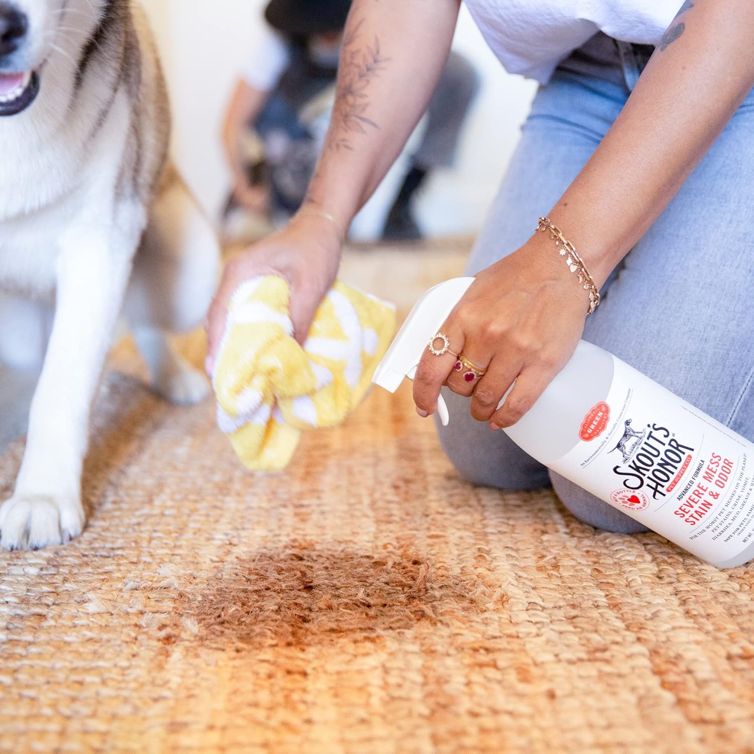 Skouts Honor Stain & Odor Severe Mess Advanced Formula DOG 1 Liter Pet Essentials