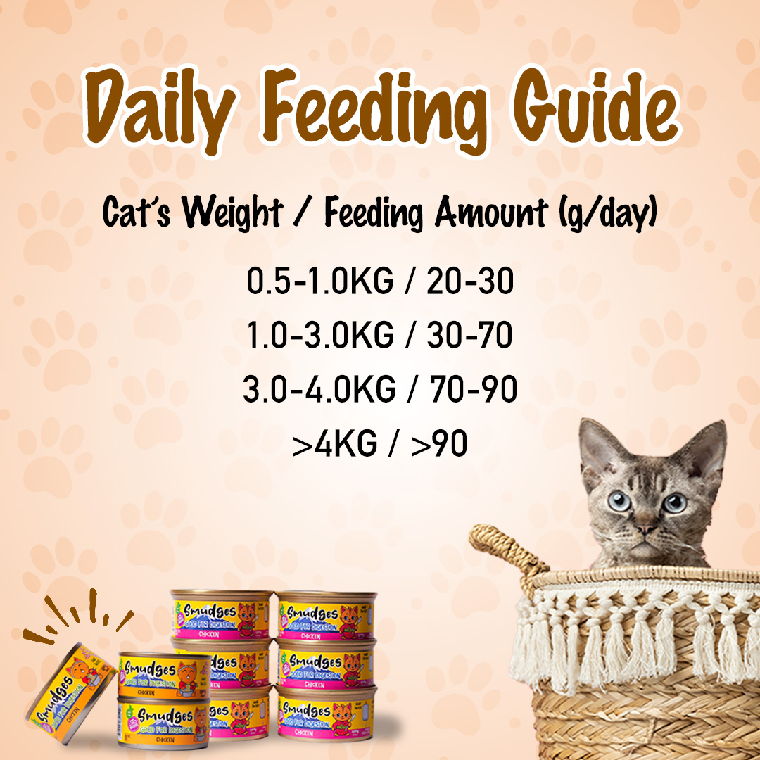 Smudges Kitten Tuna Minced in Soft Jelly 60g Pack of 12