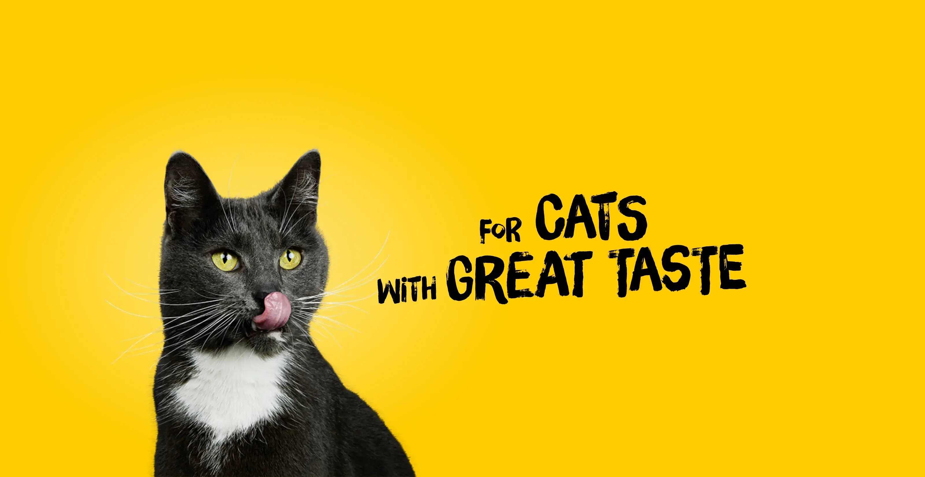 Smudges Little Licks Tuna Creamy Bisque Treats for Adult Cat 4 x 15g- Pack of 12