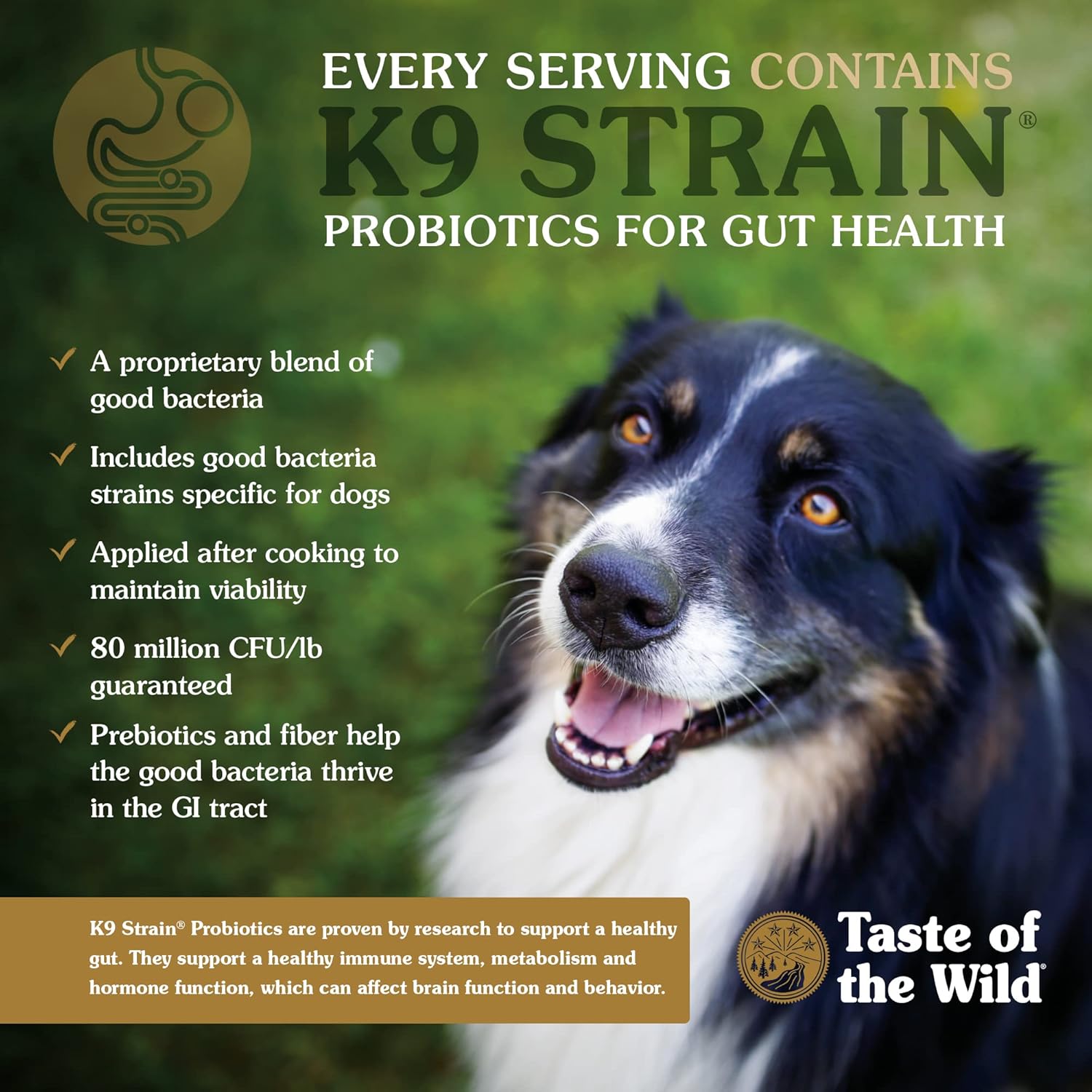 Taste Of the Wild Ancient Mountain Canine recipe-dog-2.27kg (Lamb)