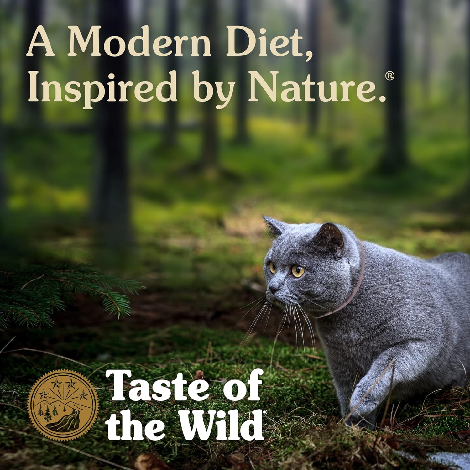 Taste Of the Wild Canyon River Feline Recipe with Trout & Smoked Salmon 85grm (CAT)