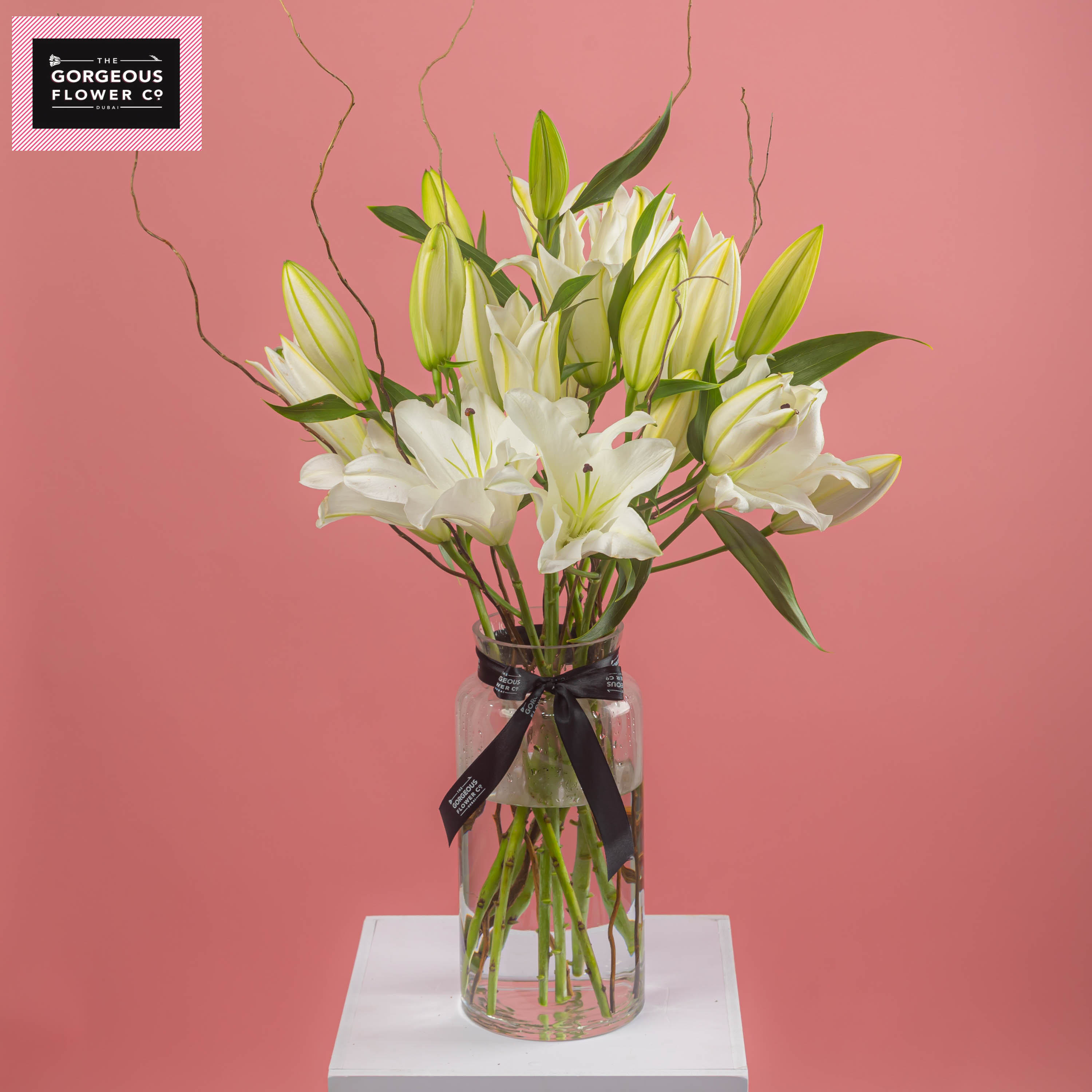 White Coast in Vase