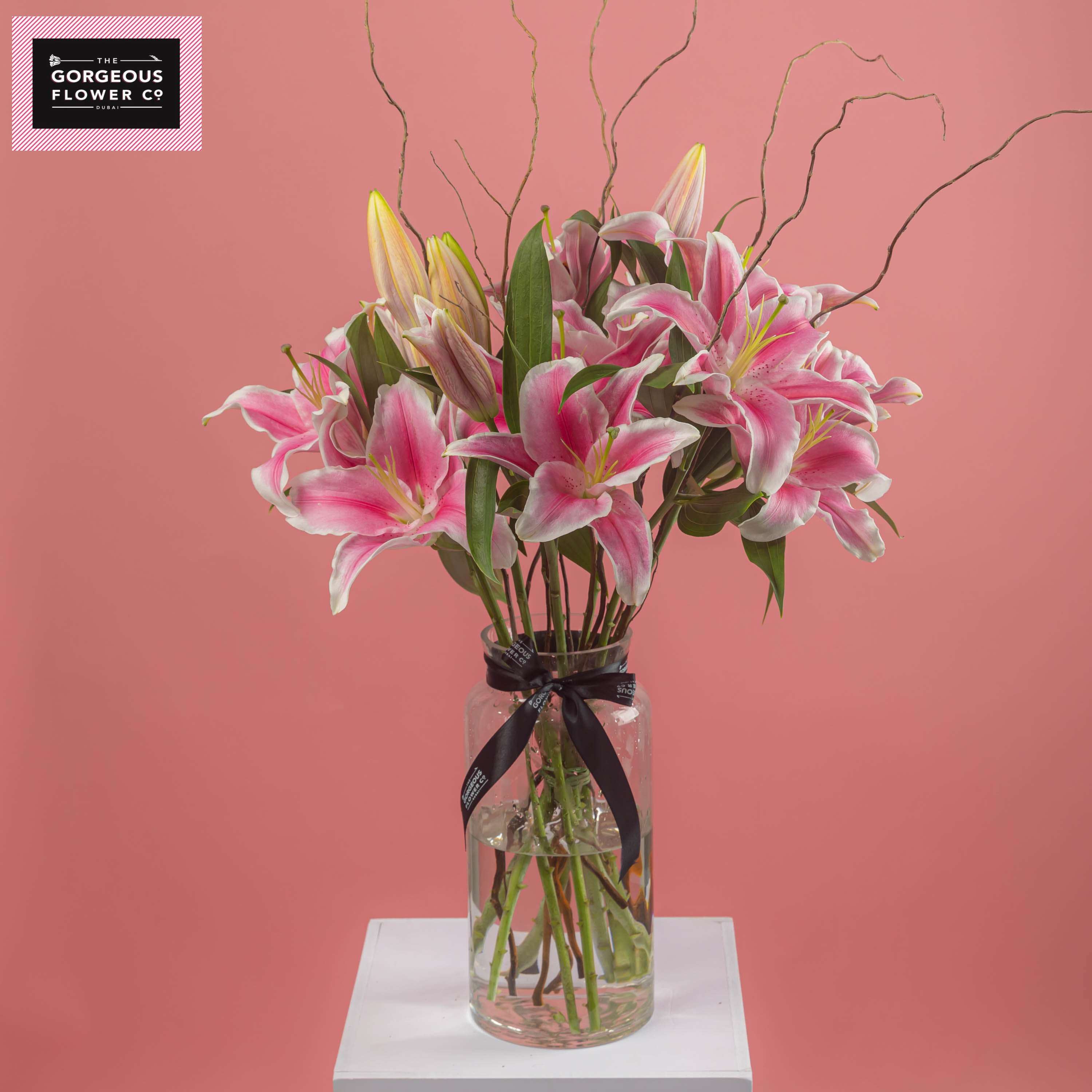 Flamenco Beach in Vase