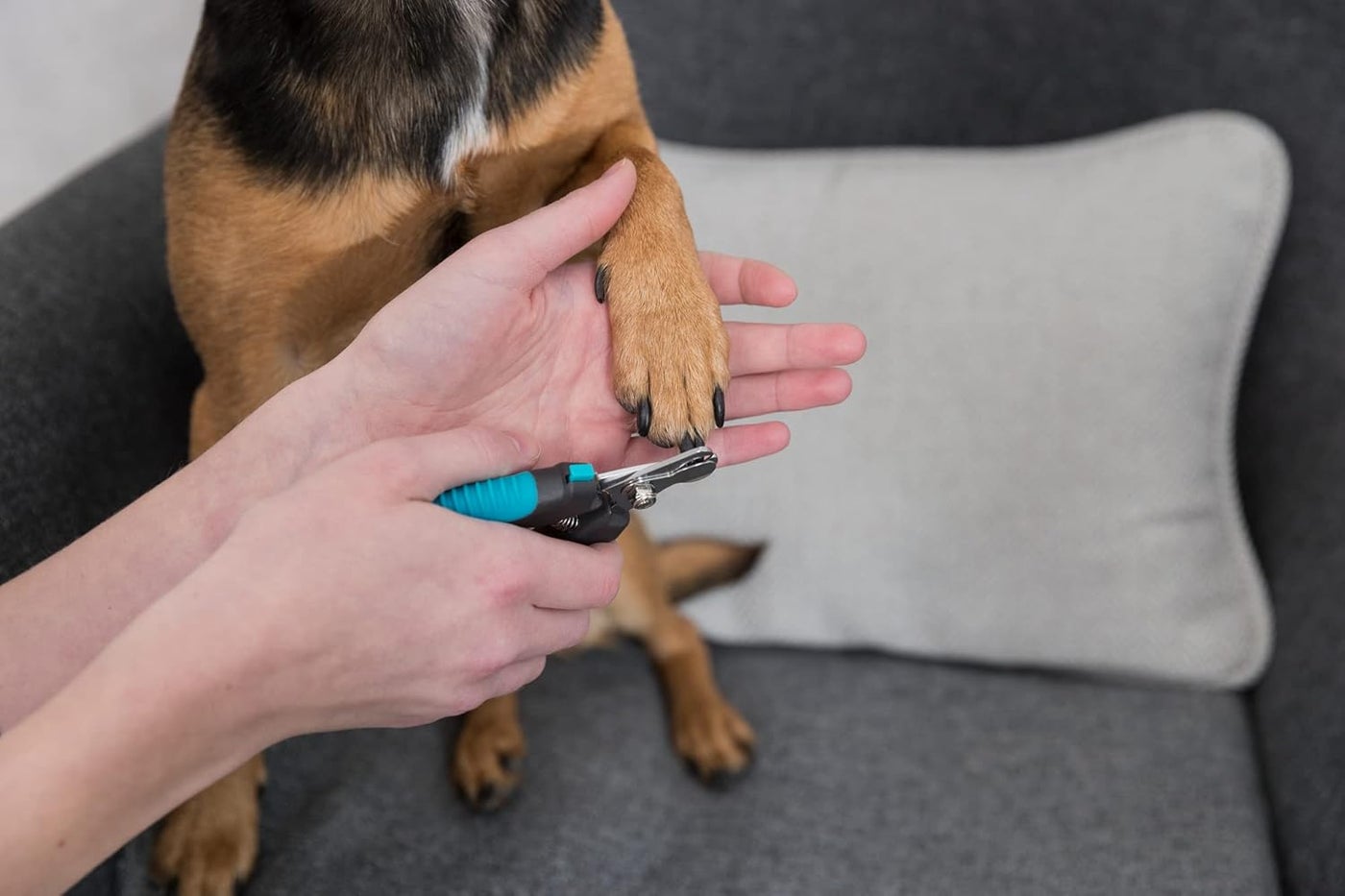 Trixie Colourful Claw Scissors For Small Pets