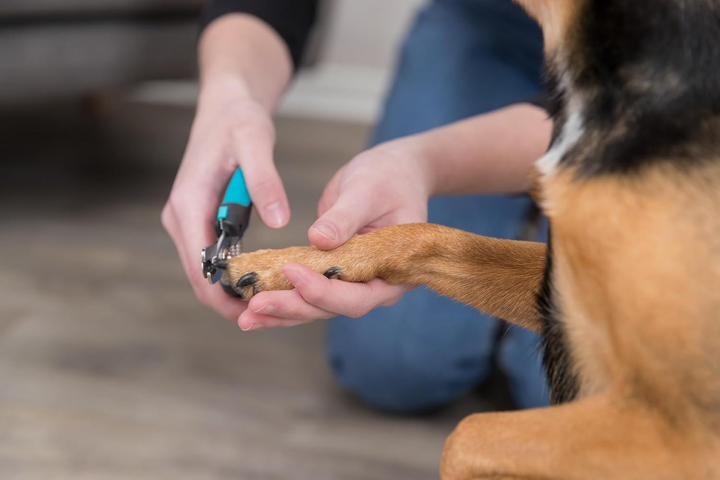 Trixie Colourful Claw Scissors For Small Pets