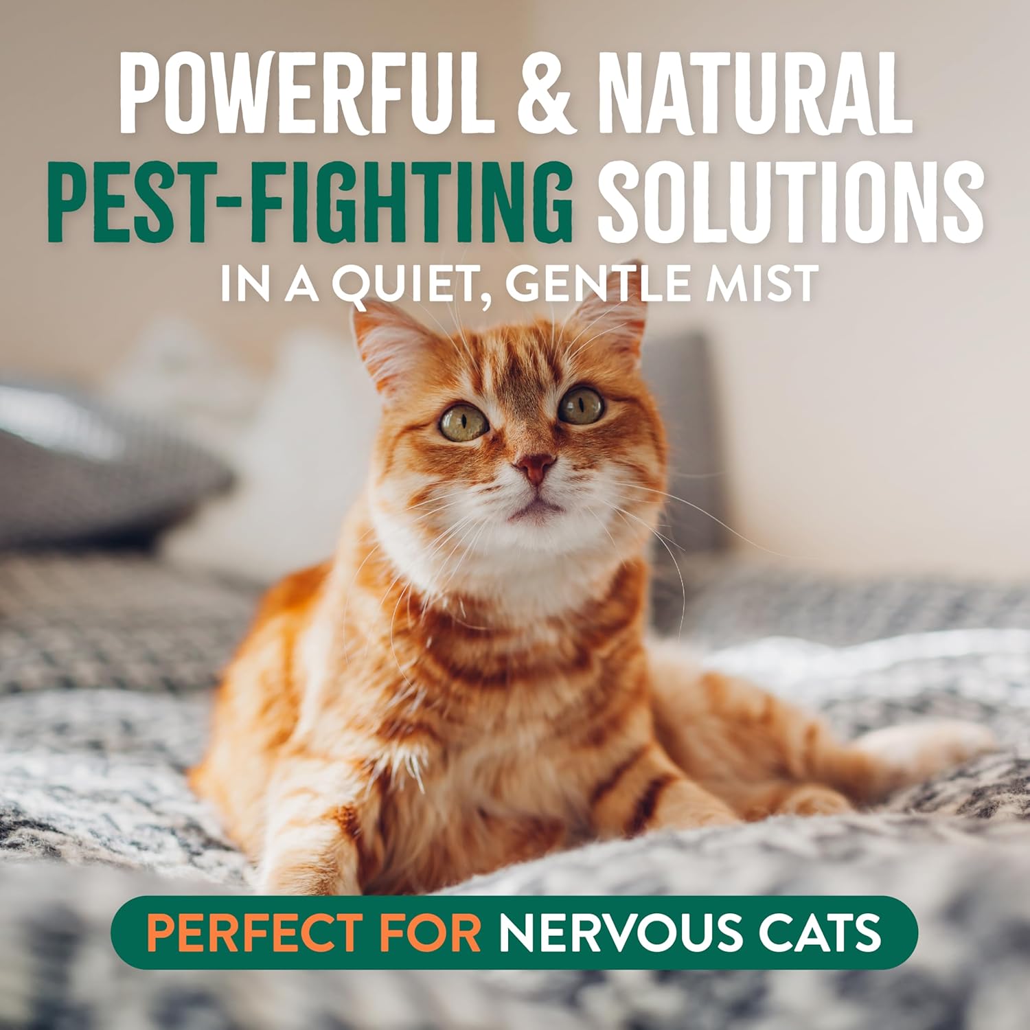 TropiClean Flea + Tick Cat + Home Easy Mist Spray for Cats- 14oz