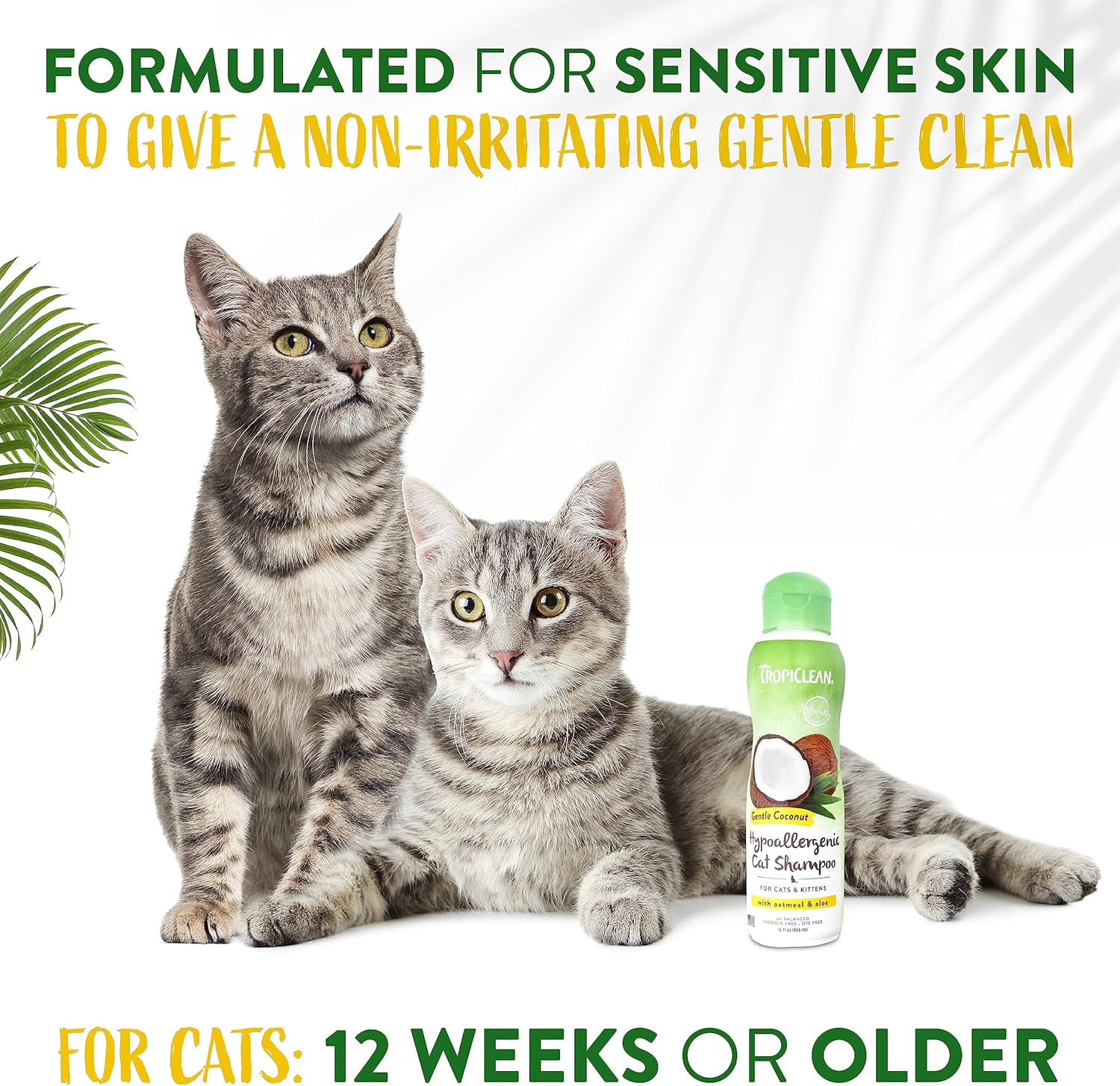 TropiClean Gentle Coconut Hypoallergenic Cat and Kitten Shampoo, 12oz