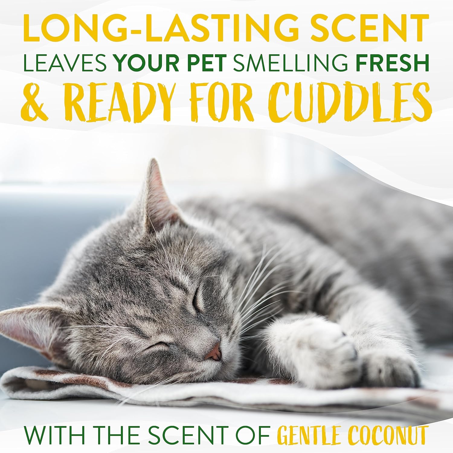 TropiClean Gentle Coconut Hypoallergenic Cat and Kitten Shampoo, 12oz