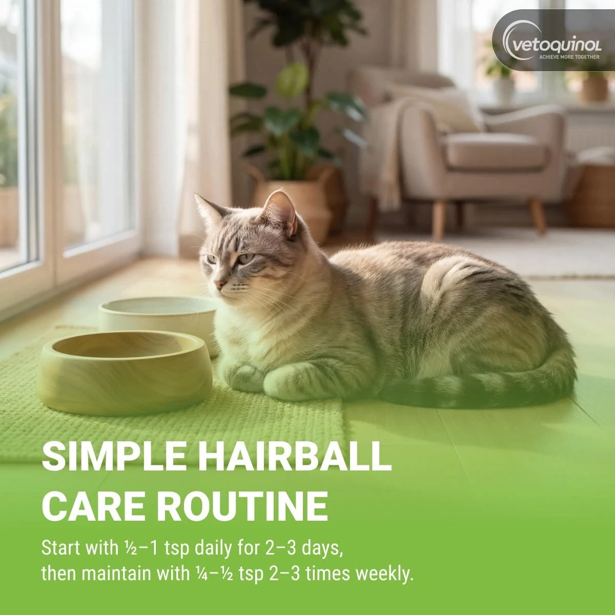 Vetoquinol Laxatone Hairball Gel for Cats 4.25oz